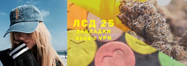 гидра Надым
