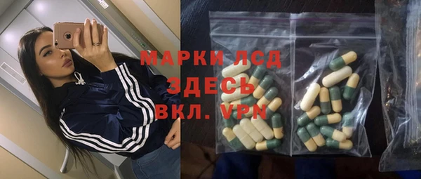 гидра Надым