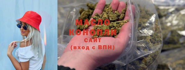 гидра Надым