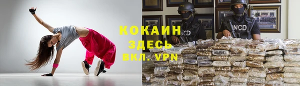 гидра Надым