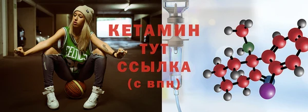 гидра Надым