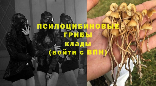 гидра Надым
