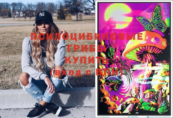 гидра Надым