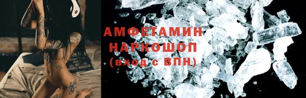 гидра Надым