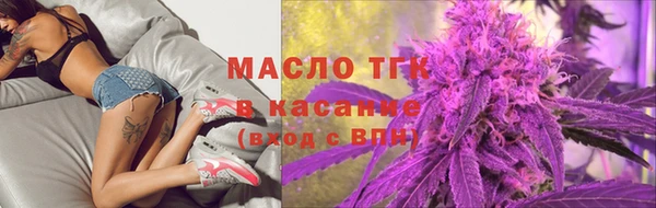 гидра Надым